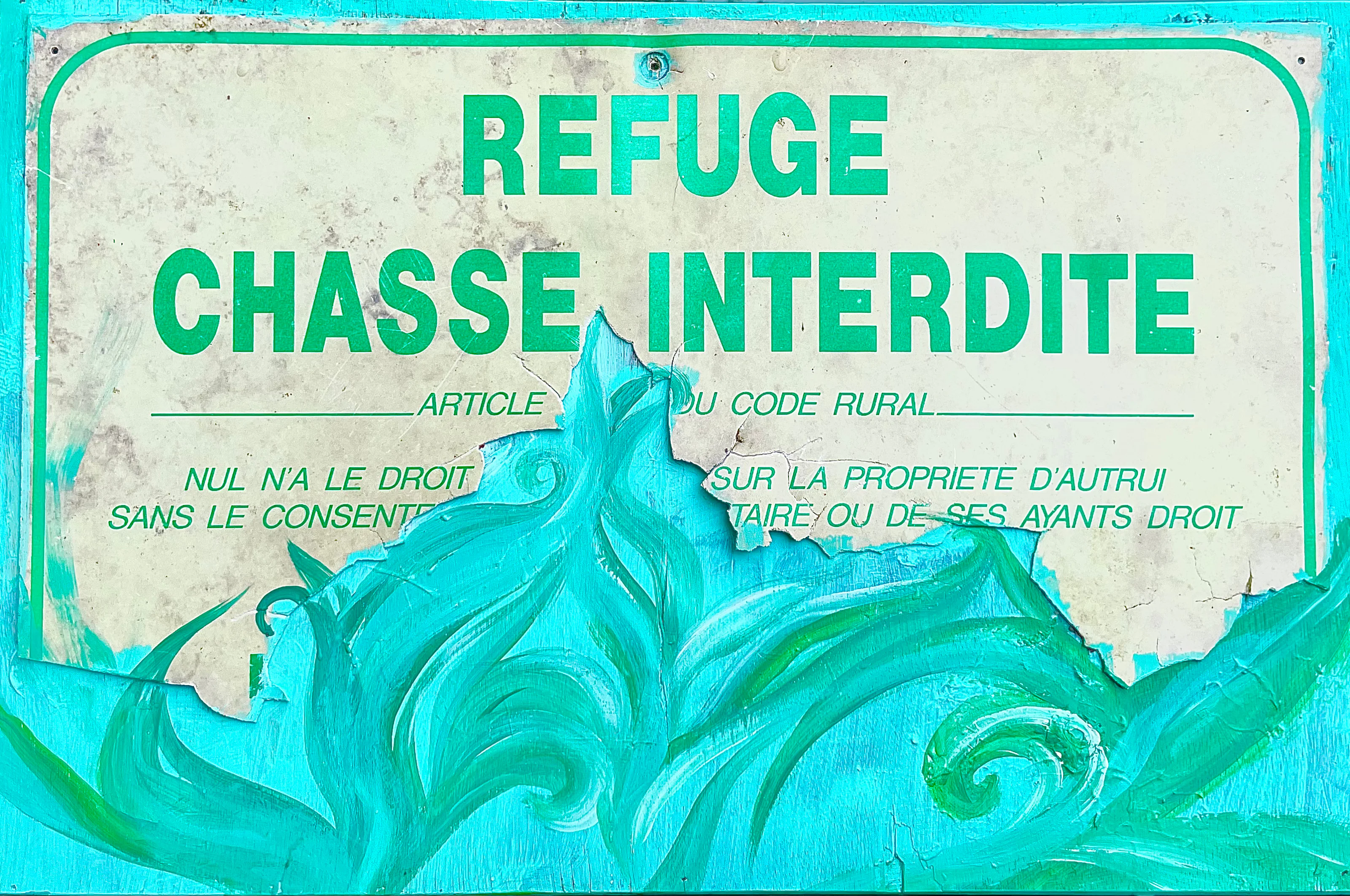 Panneau « Refuge, chasse interdite » recouvert à sa base de feuillages turquoise peints.