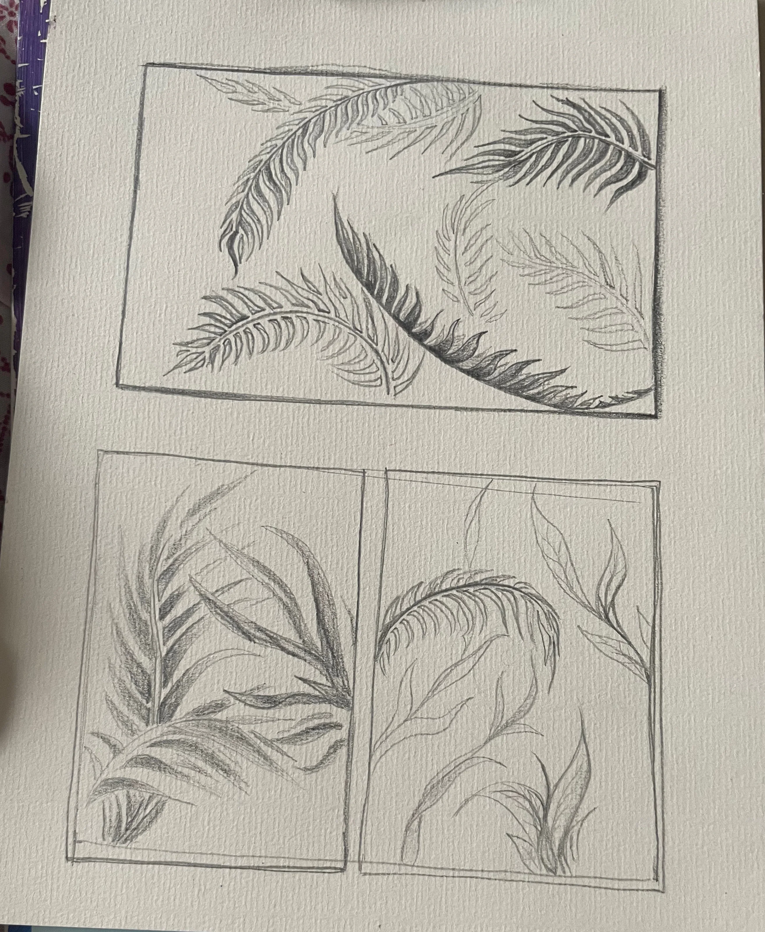 Page d'études au crayon, plumes et feuilles de palmier dessinées dans trois cadres.